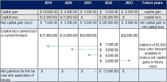 Capital loss planning stats